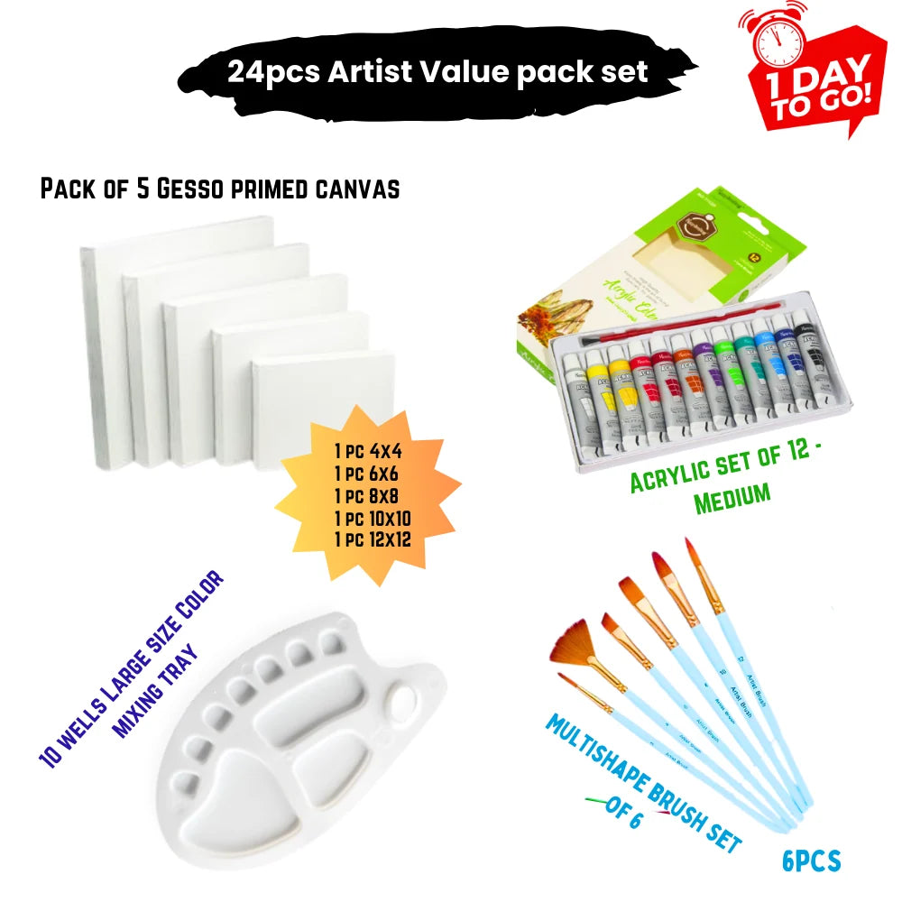 24 Pcs/Set Value Pack For Artist - Top Seller